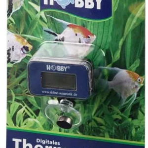 Hobby (Dohse) Digitales Thermometer